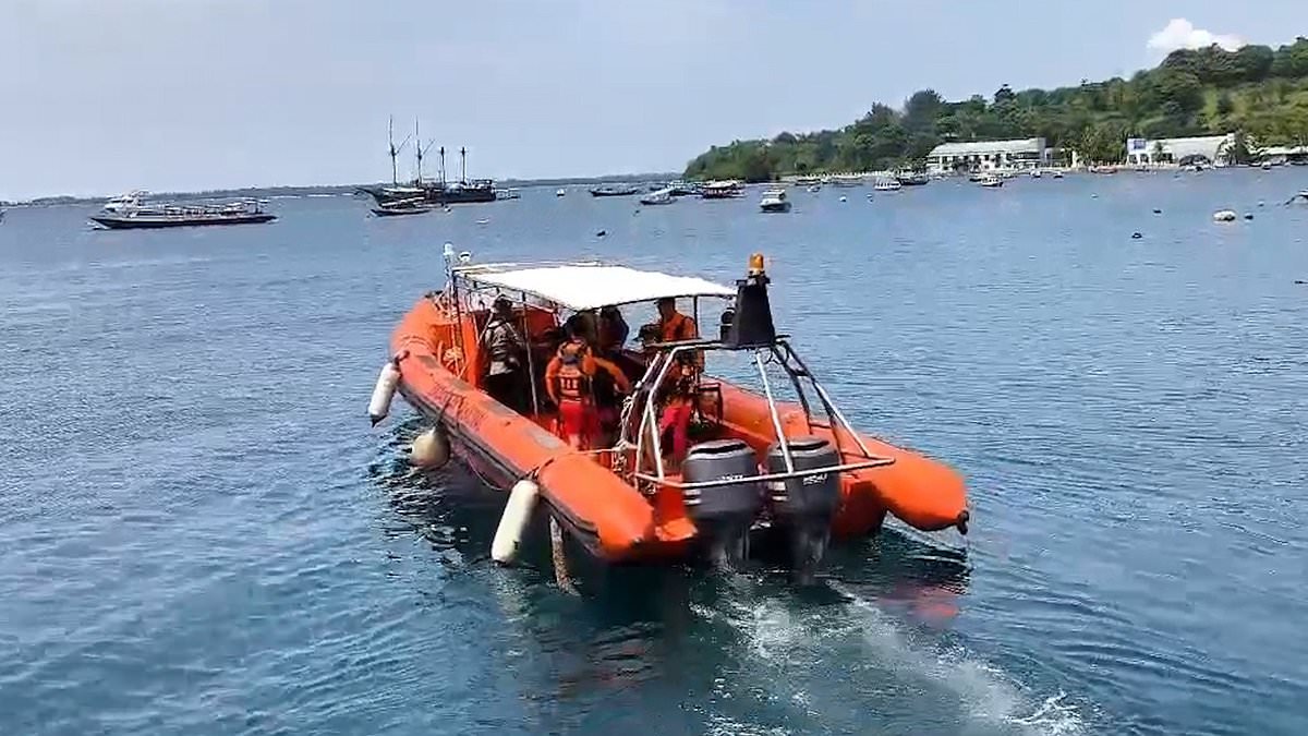 Brit tourist dies during high-risk dive off Indonesian paradise island after being dragged away by powerful current