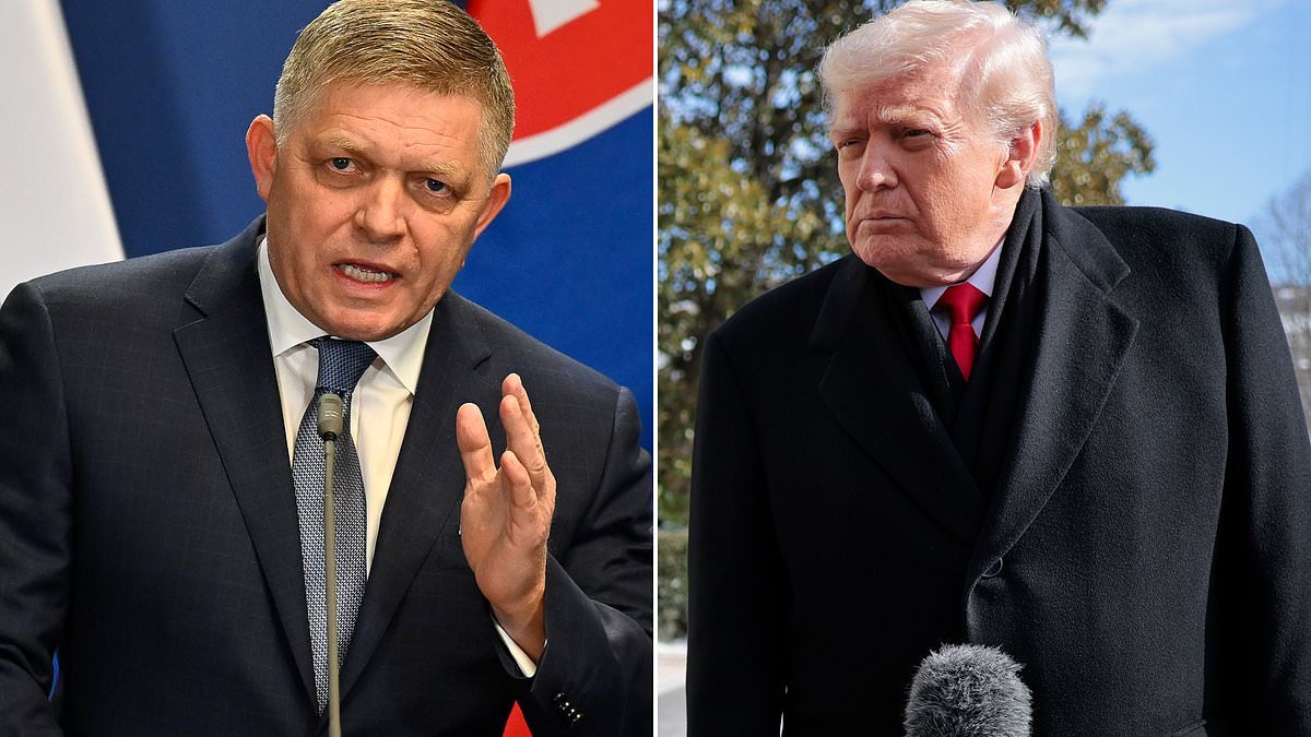 European leader issued private concerns about Trump's 'dangerous psychological state'