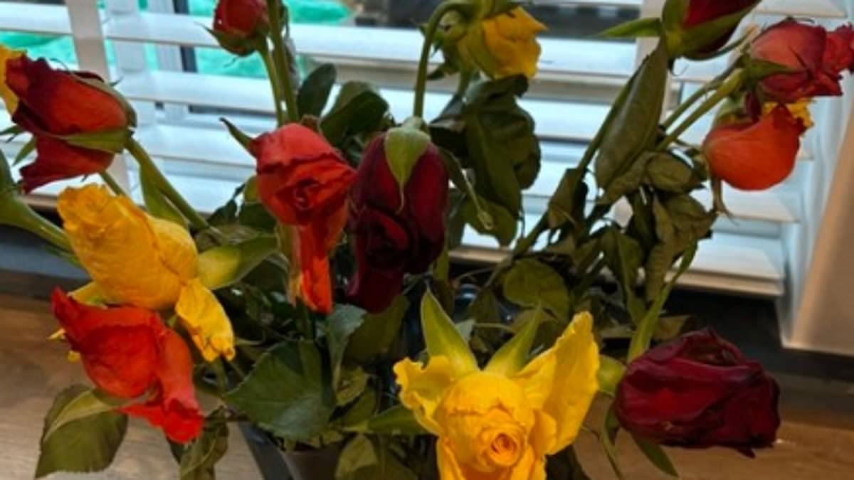 Shoppers left 'disappointed' as their wilted Valentine's Day flowers look 'half dead'