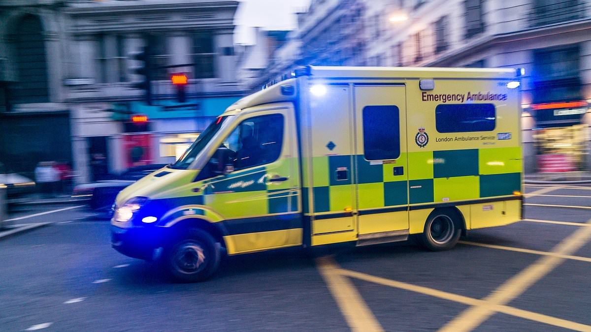 Wes Streeting hails improvement in NHS ambulance response times - but Tories say crews still spent the equivalent of 137 years parked outside hospitals in Labour's first eight months in office
