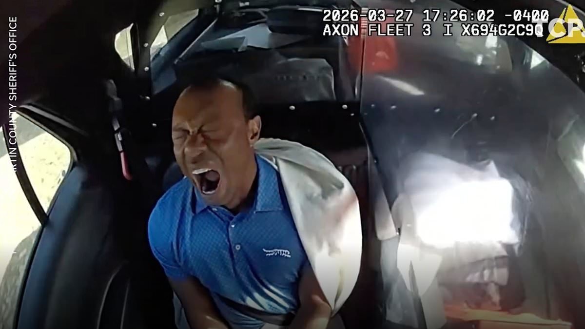 Tiger Woods' private jet lands in Zurich as golf legend, 50, prepares for rehab in wake of DUI and car crash