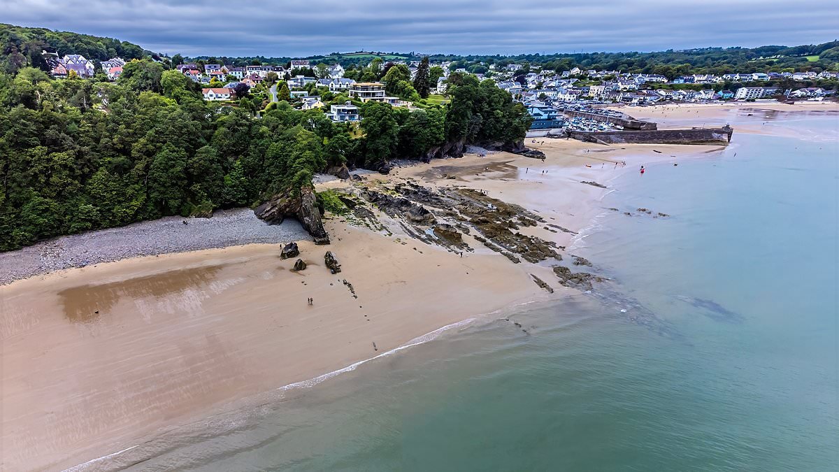 Welsh council will force homeowners to sell empty properties