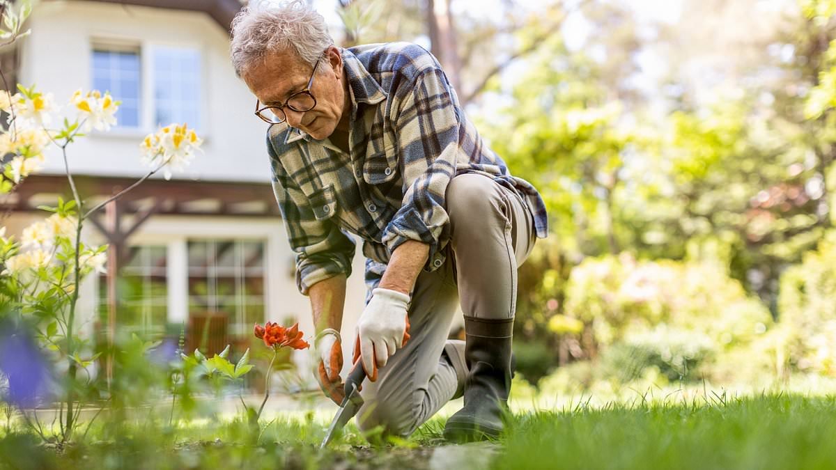The top tips leading dementia experts swear by to protect themselves from the condition: From shrinking wine glasses to gardening and crosswords