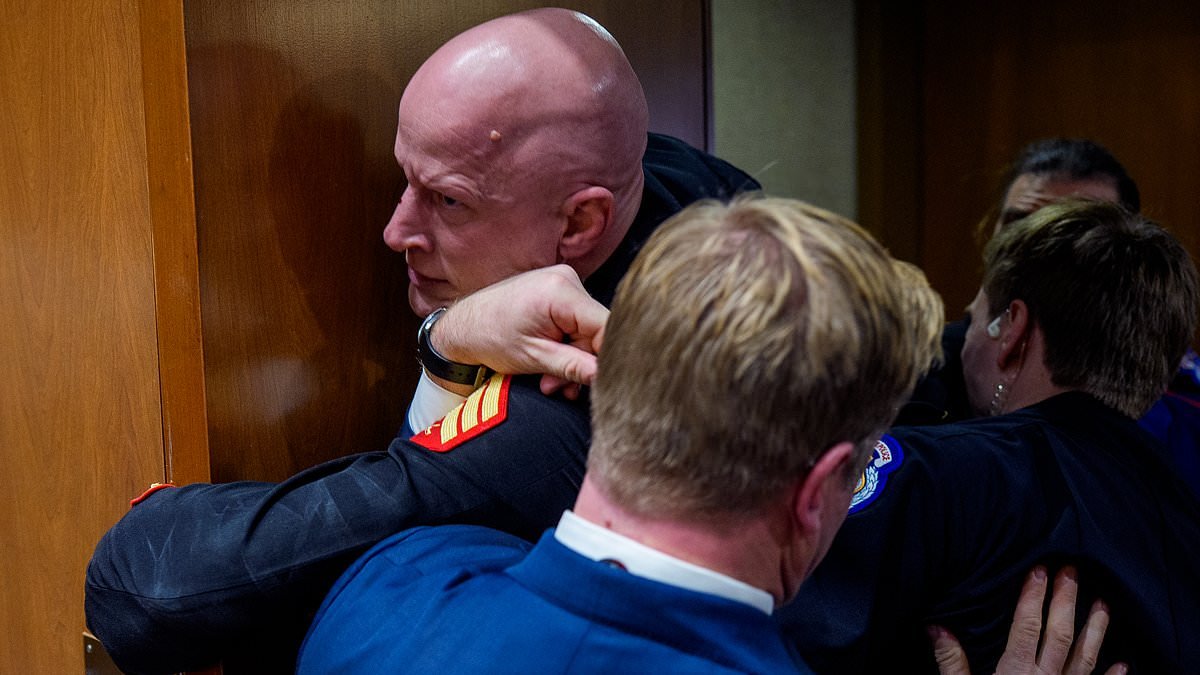 Shocking moment US Senator joins Capitol Police to eject screaming Marine from congressional hearing