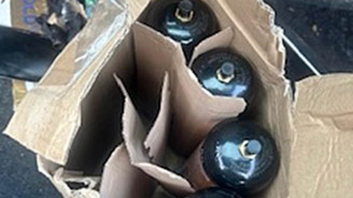 Migrant caught with tanks of 'hippy crack' laughing gas is allowed to stay in taxpayer-funded hotel in UK