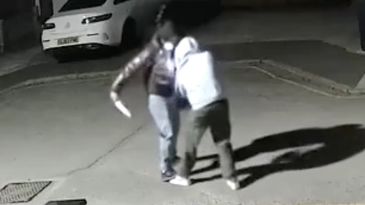 Moment knifeman with huge blade lunges at victim in broad daylight on quiet residential London street