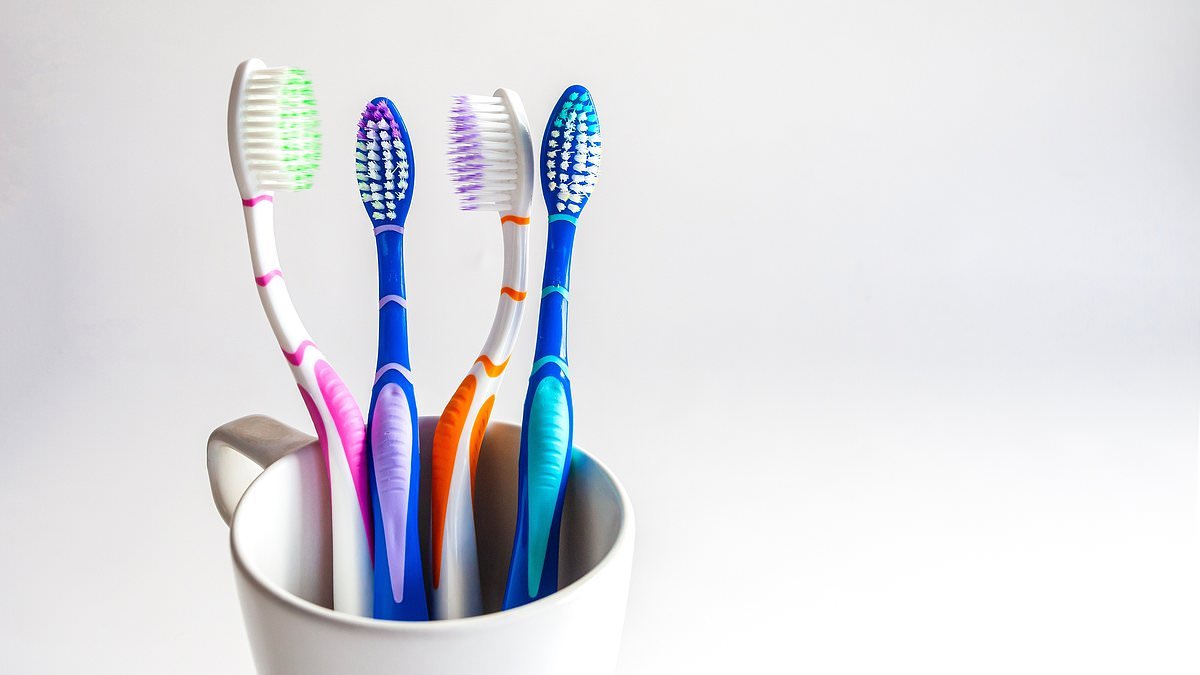How often should you change your toothbrush? Scientist finally settles the debate - so, are you doing it enough?
