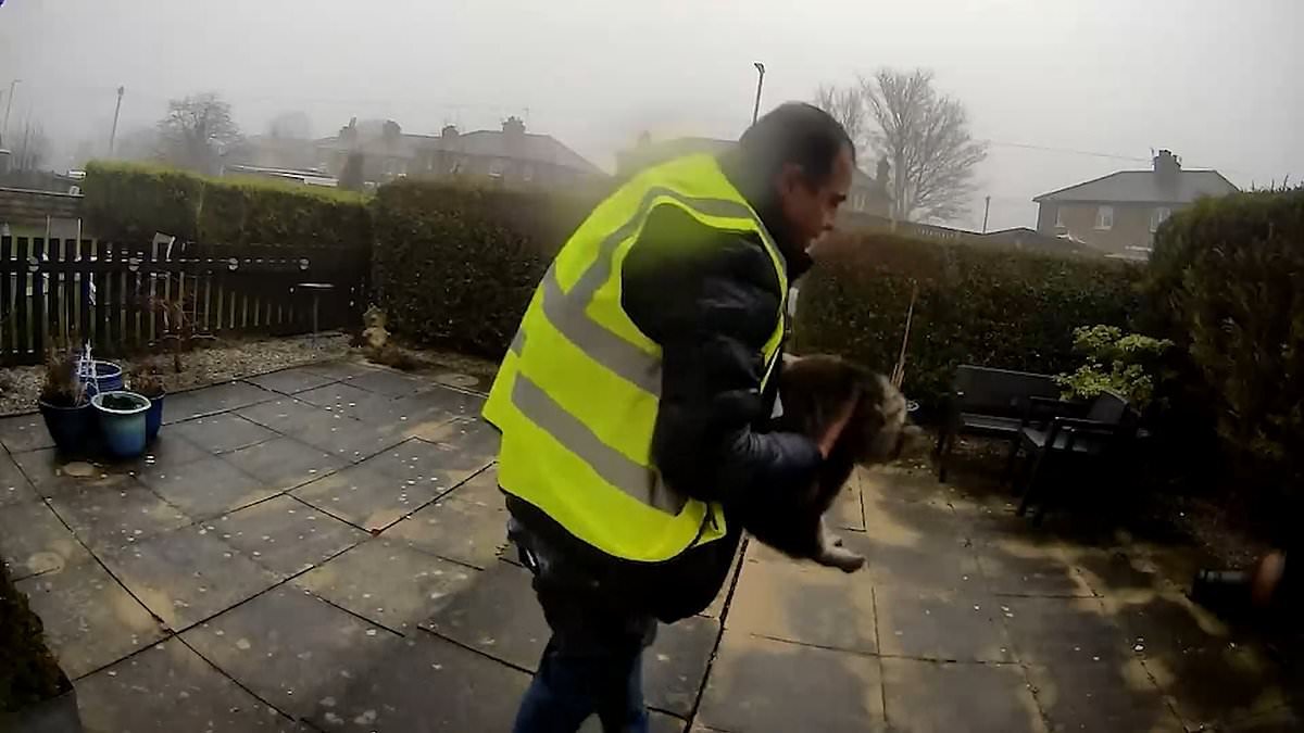 Moment Amazon delivery driver 'brazenly steals pet cat from doorstep' - leaving family 'devastated'