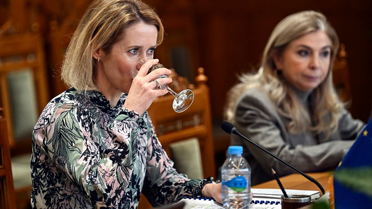 The state of the world is so terrible the only solution is to start drinking, says EU's chief diplomat