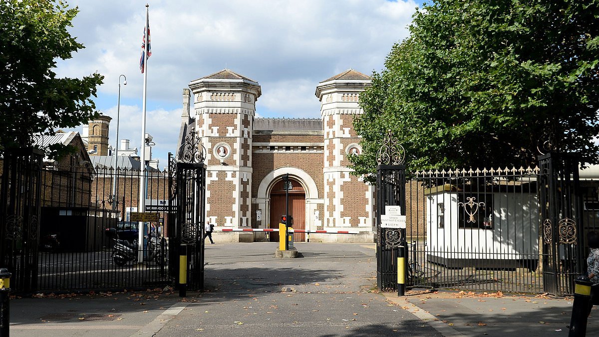 Police make arrests at Wormwood Scrubs after protesters 'breached prison grounds' in support of jailed pro-Palestine hunger striker