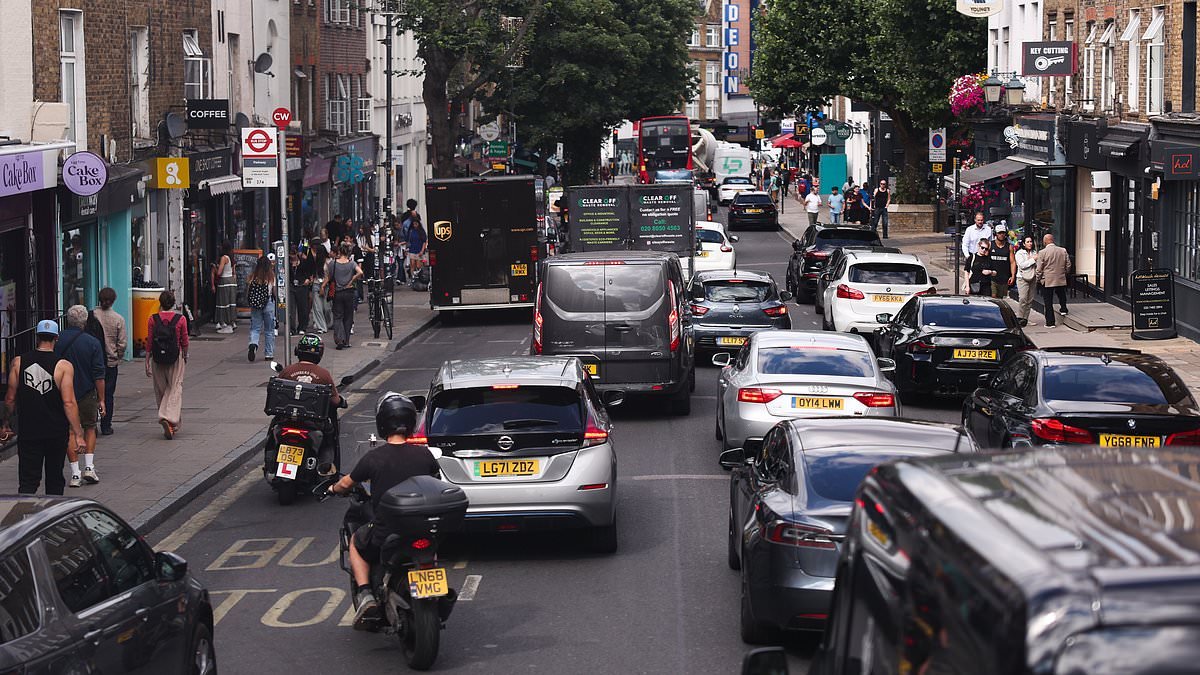 RICHARD LITTLEJOHN: No wonder London is the slowest city on Earth - the 20mph Gestapo are turning drivers into cash cows while pretending it's all about road safety