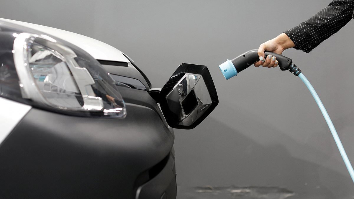 The average UK household is being priced out of electric car ownership, report claims