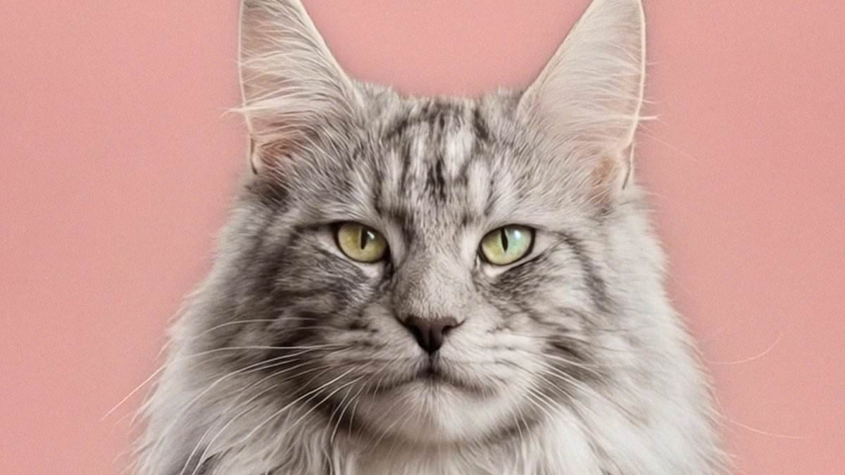 Meatball lollipops from Ikea, Wickes' moon-powered panels and a Dyson Airwrap fit for a cat: All the latest product releases... on April Fool's Day