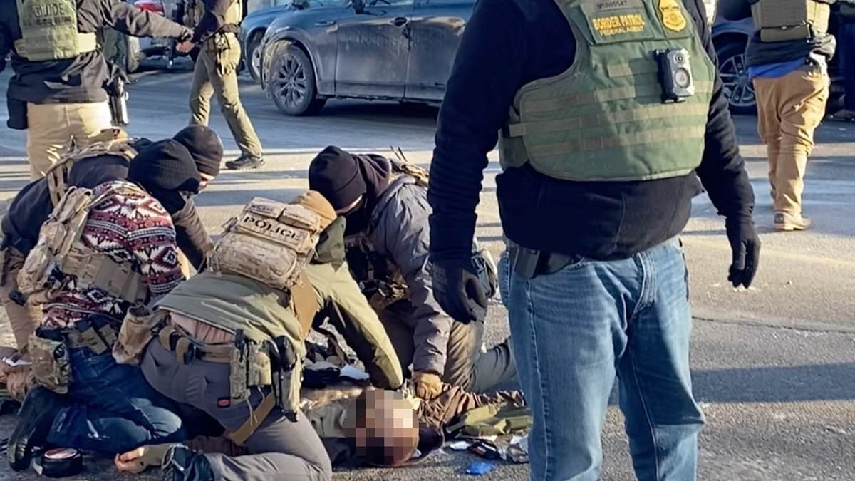 Two Border Patrol agents opened fire at Alex Pretti in Minneapolis after he was disarmed, government report states