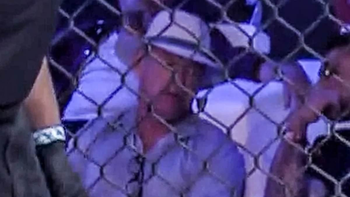 The gourmet gangster: How world's most elusive drugs baron Christy Kinahan is swanning around Dubai without a care in the world under the alias 'Mr Vincent'... and leaving Google reviews of his favourite restaurants