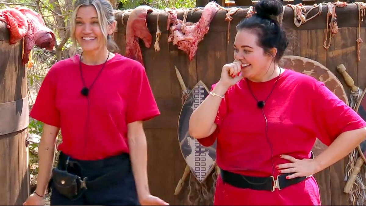 I'm A Celebrity's Ashley Roberts horrified after walking in on NAKED David Haye mid-shower - and Scarlett Moffatt's response is priceless