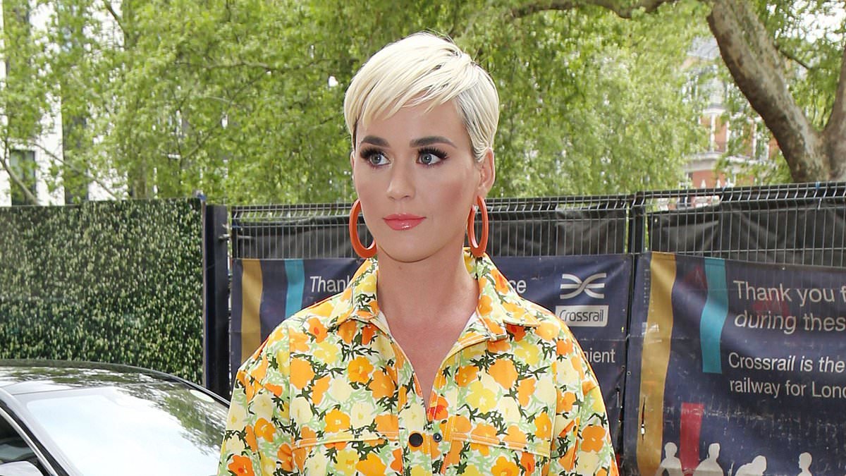 Now ANYONE will be allowed to buy a Birkin! Hermes vows to improve sales policies after claims of 'stalking' customers to see if they were wealthy enough to purchase a bag