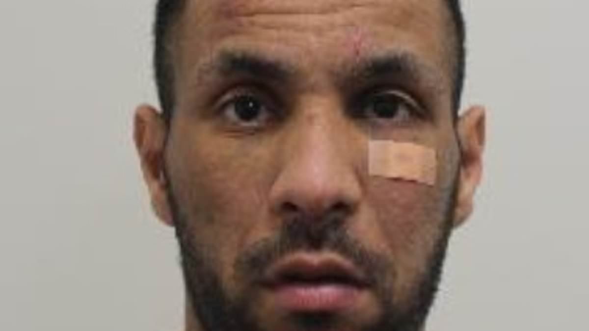 Algerian thief who stole Fabergé egg and watch in £2 MILLION handbag grab from whisky boss in West End is sentenced