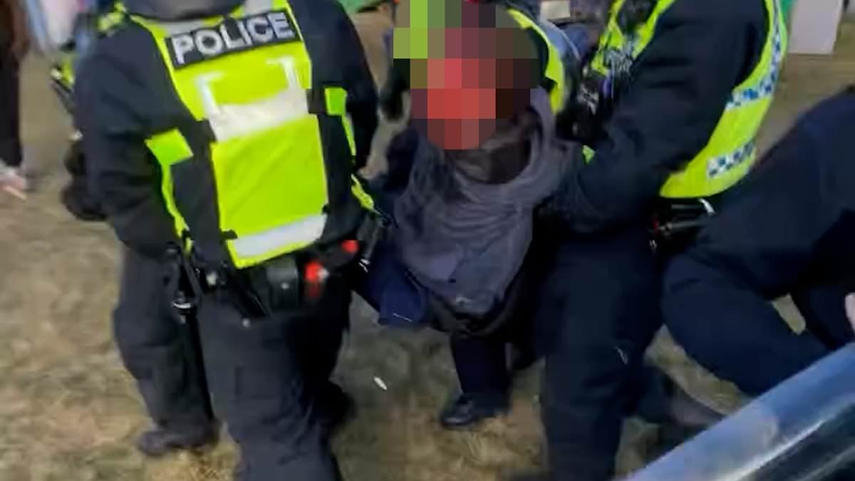 Moment illegal raver is left bloodied and battered after police beat him to the ground - as cops insist THEY were attacked with bottles and gave a 'proportionate response'