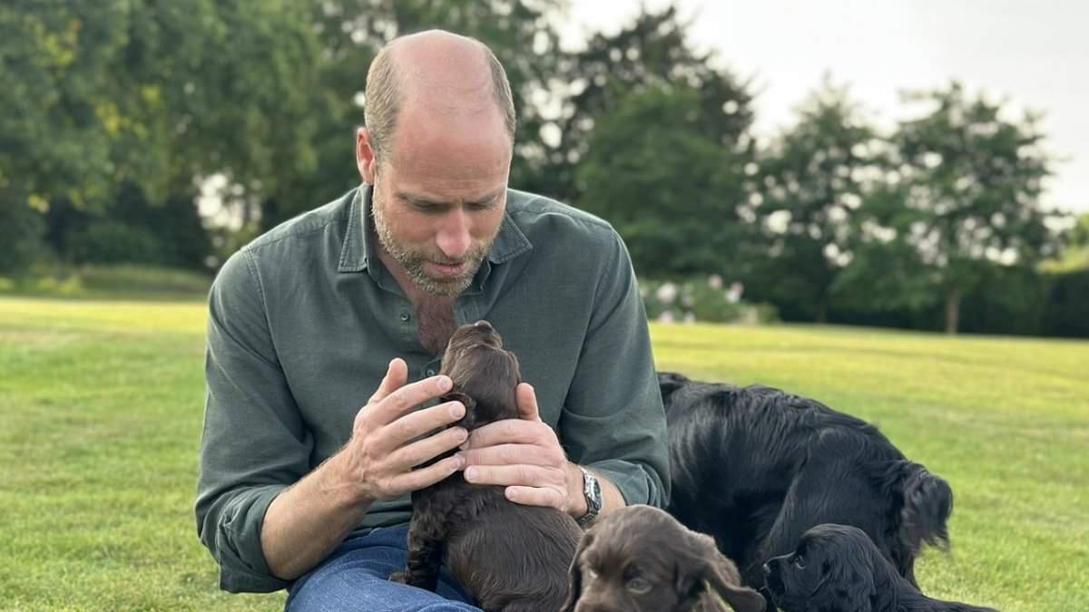 ​'We've got a little puppy': Kate reveals Waleses have welcomed an eight-month-old Cocker Spaniel as a friend for their dog Orla