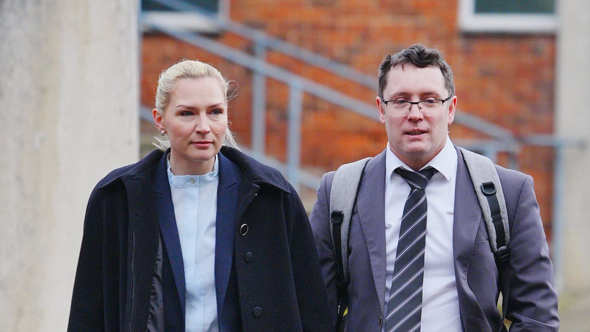 Wife 'driven to suicide by husband' wrote in diary 'the more I fight back, the more he enjoys it', court hears