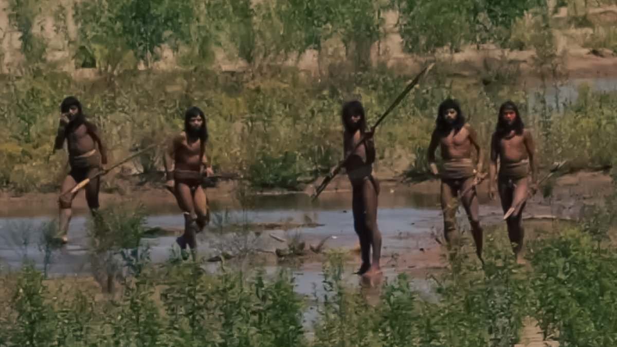 Truth about extraordinary viral video of spear-wielding uncontacted Amazon tribe walking out of the jungle. I was there... here's what REALLY happened and devastating outcome one year on