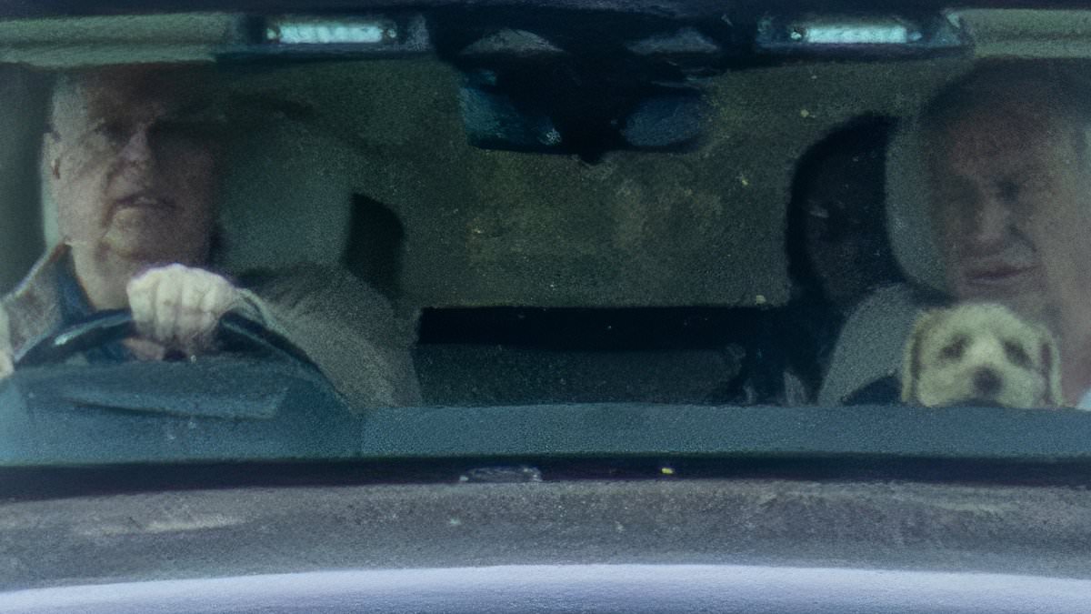 Andrew Mountbatten-Windsor's new Norfolk home becomes tourist attraction as scores of sightseers drive past every day