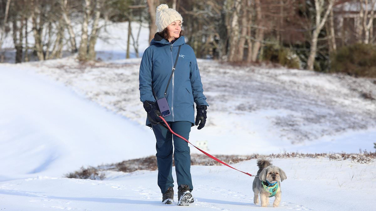 Renewed flooding misery predicted as half-term weather chaos continues with up to 6in of snow plus yet more rain as public warned to be 'vigilant'