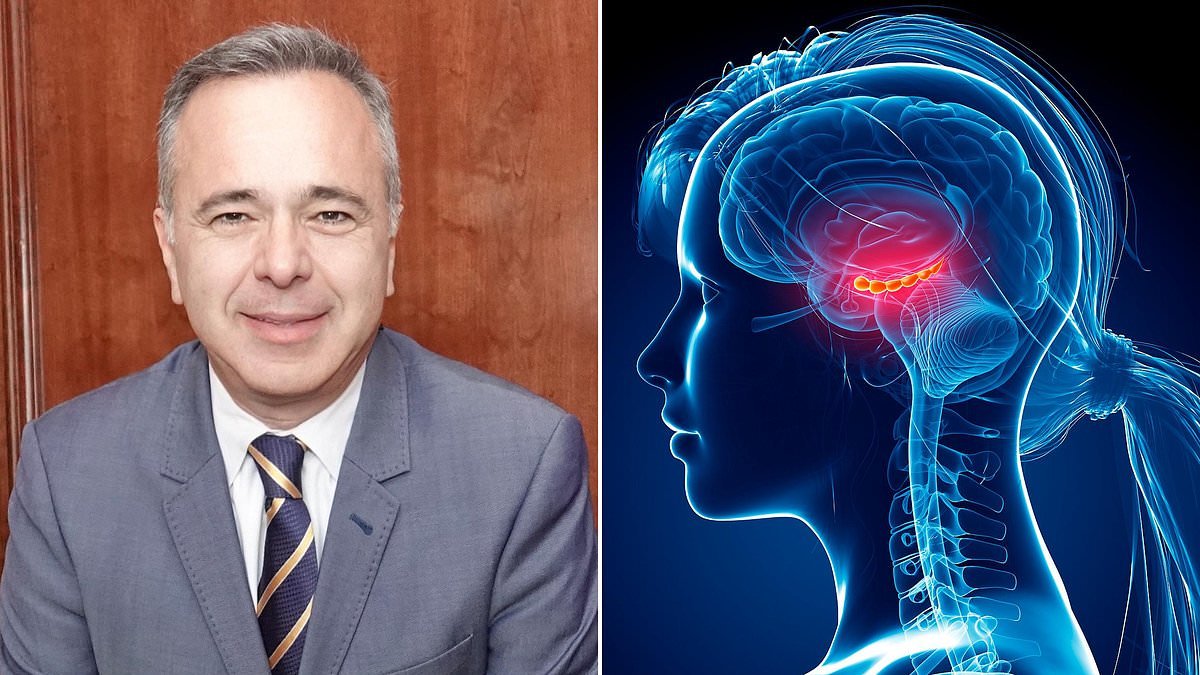 Newsletter Exclusive: How to reduce your brain's biological age in just three months, by a world-leading neurologist whose regime is clinically proven to work. Use our interactive brain calculator - and follow the guide