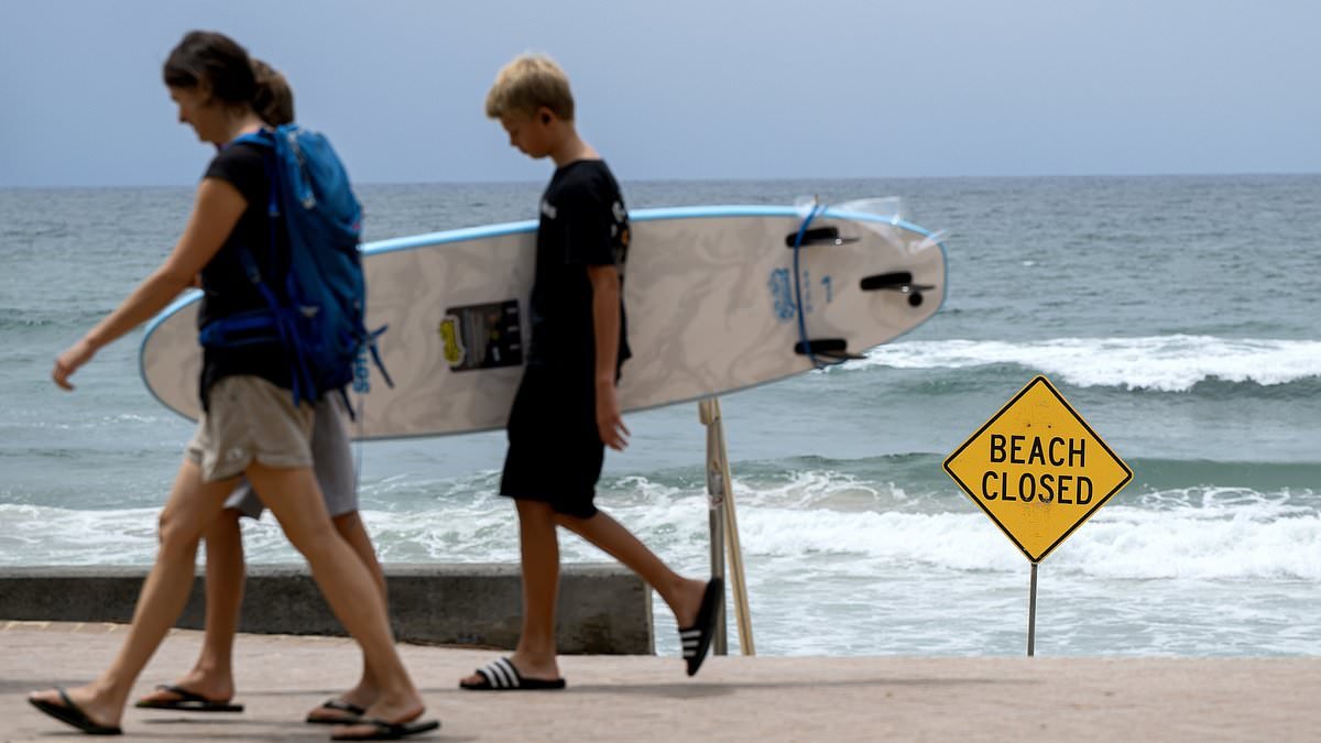 Why do sharks bite humans? As four attacks devastate Australia in just 48 hours, scientist reveals exactly what might be behind the spate of incidents
