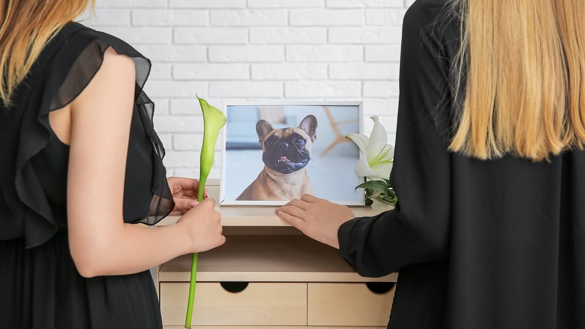 Death of a pet can hurt as much as losing a family member - and can even lead to 'prolonged grief disorder', scientists warn