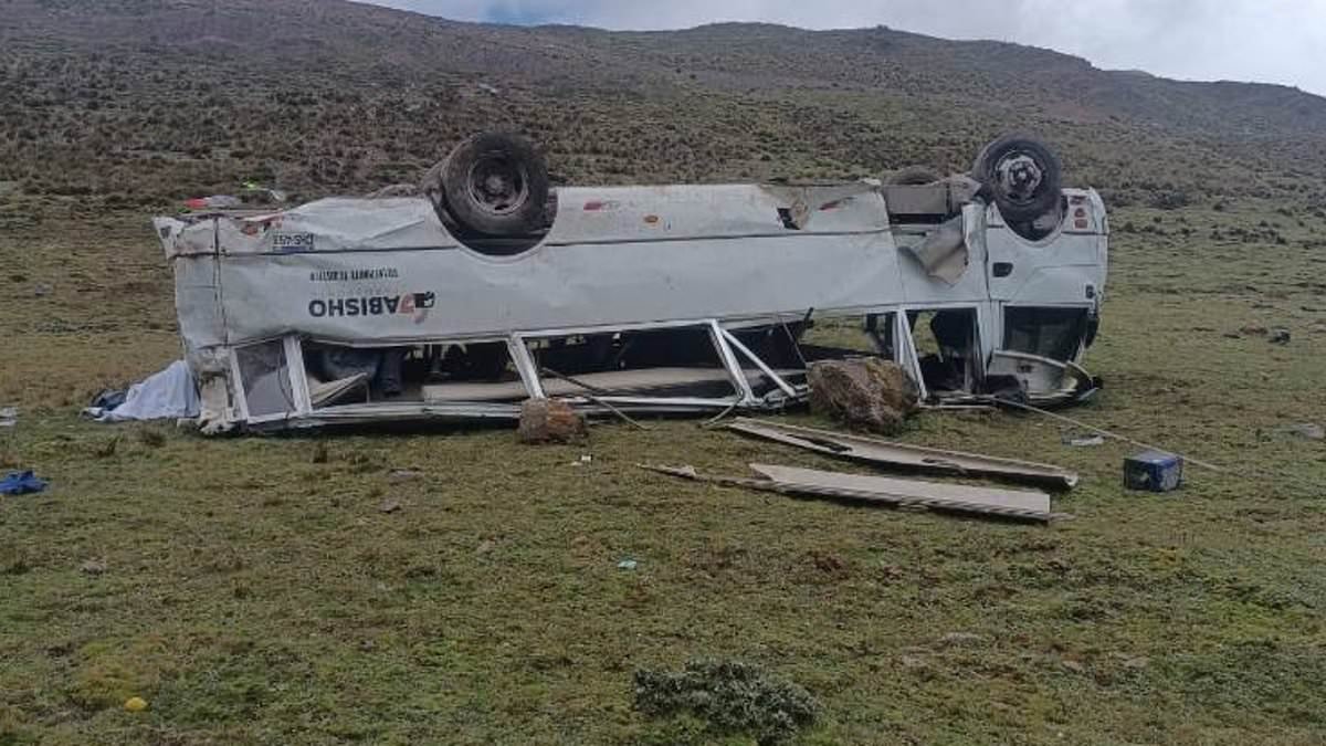 Nine people killed and 15 injured as tour bus through Peruvian mountains plunges off the road