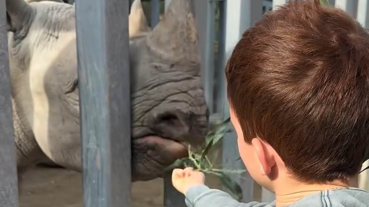 Meghan Markle posts heartwarming videos of Lilibet and Archie splashing in the pool and feeding animals at the zoo