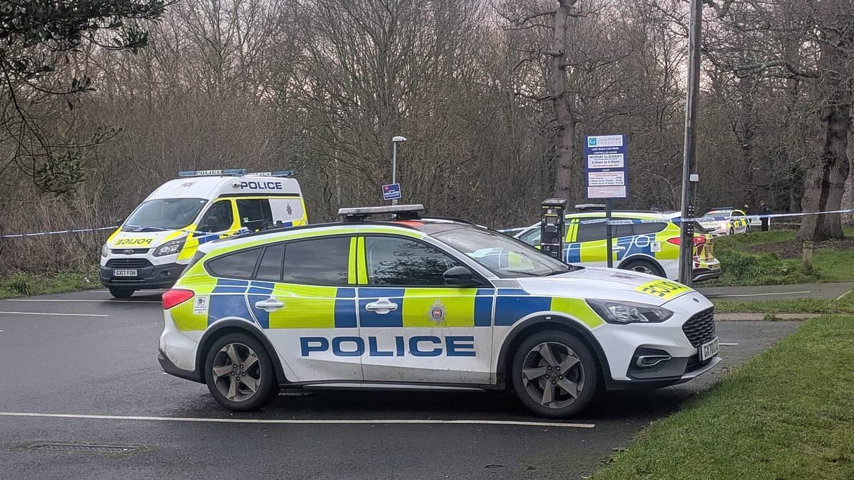 Teenage boy is found stabbed to death at Guildford beauty spot near college as police launch hunt for killer