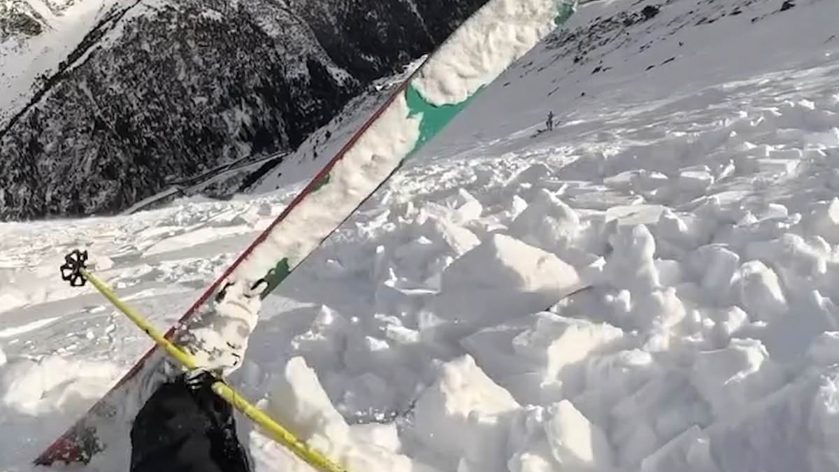 Dramatic moment skier and her dog are swept down mountain by avalanche