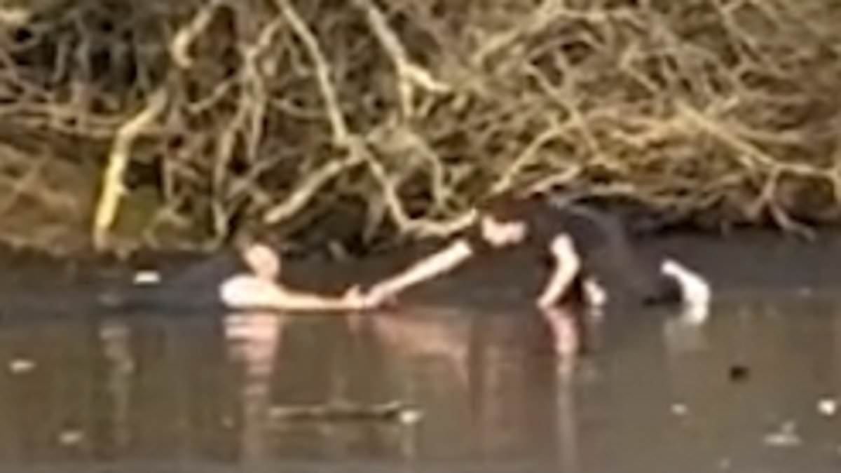 Moment hero passer-by rescues dog owner who fell through frozen lake while trying to save pet