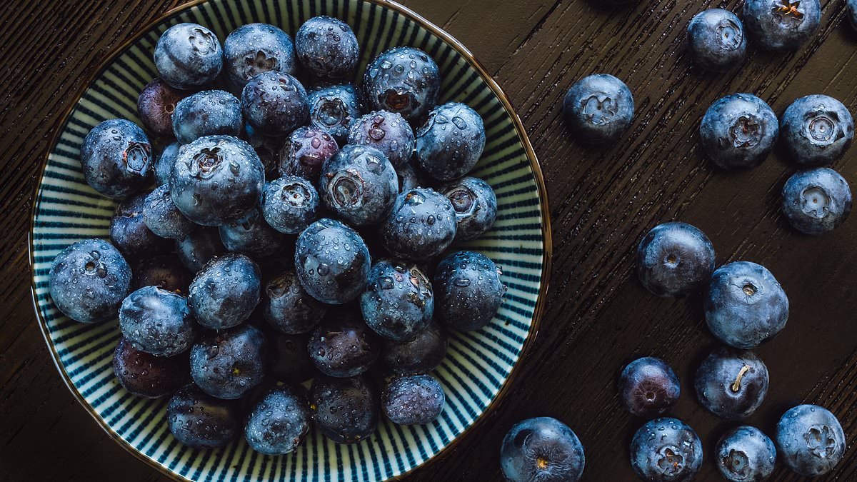 Blueberries unpicked: The tiny superfruit that can make a BIG impact on your gut, brain and heart health