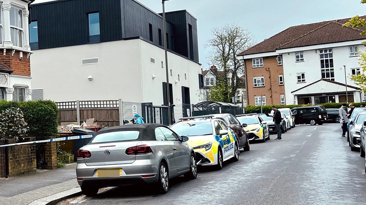 Woman and man are arrested over 'antisemitic' attempted arson attack at north London synagogue where 'balaclava-clad suspects hurled petrol bombs'
