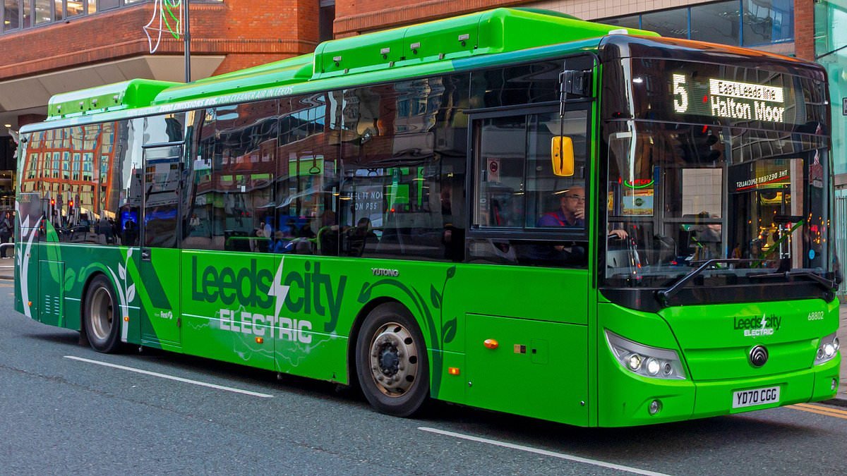 Hundreds of electric buses in Britain have Chinese 'kill switch' which can remotely disconnect them