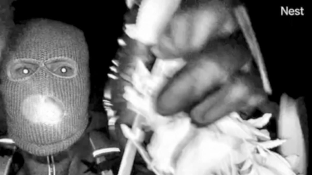 FBI 'has names and photos of people who may be masked suspect caught on surveillance video outside Nancy Guthrie's home'