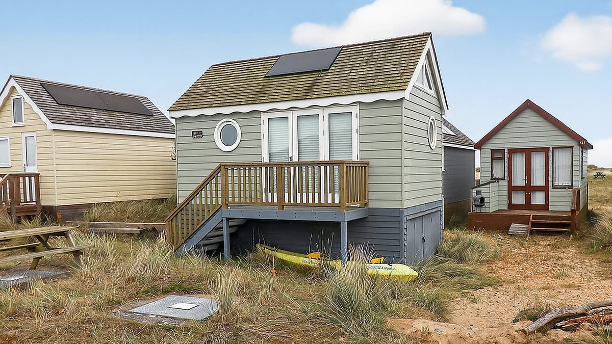 Three-floor timber beach hut in Dorset beauty spot which boasts its own cellar is for sale for £325,000