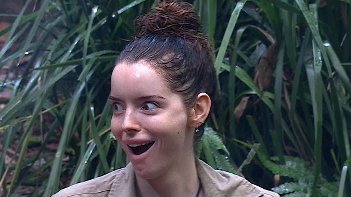 Bonkers rules stars have to follow on reality TV shows - from a bizarre underwear ration to being banned from eating and having air conditioning