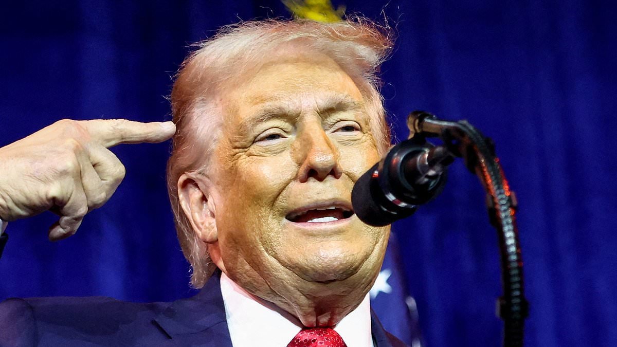 Trump unveils plan to BUY Greenland as Rubio sets up meeting with Danish officials