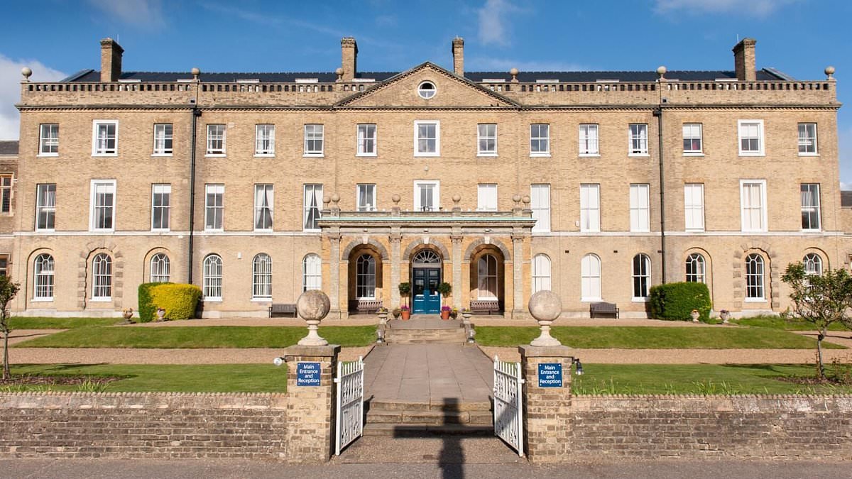 Judge tells school fees fraudster who claimed to have anxiety and depression 'of course you do, you're a fraudster, that's an anxiety-making and depressing way to live' - as he jails him