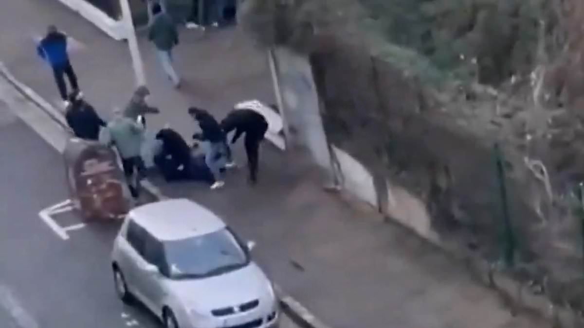 'Antifa mob' beat man to death at protest against hard-left French politician, with footage showing gang attacking victims as they lie on the ground