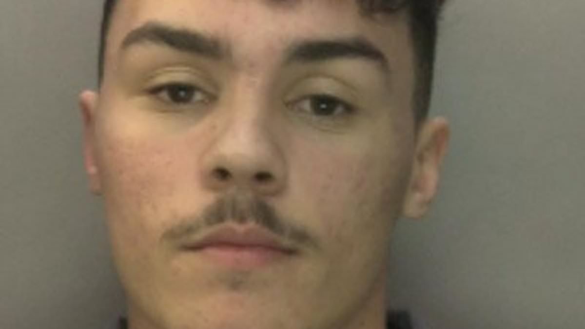 Brazen thief who filmed himself while burgling people's homes and driving stolen cars in £300,000 three-month crime spree is jailed