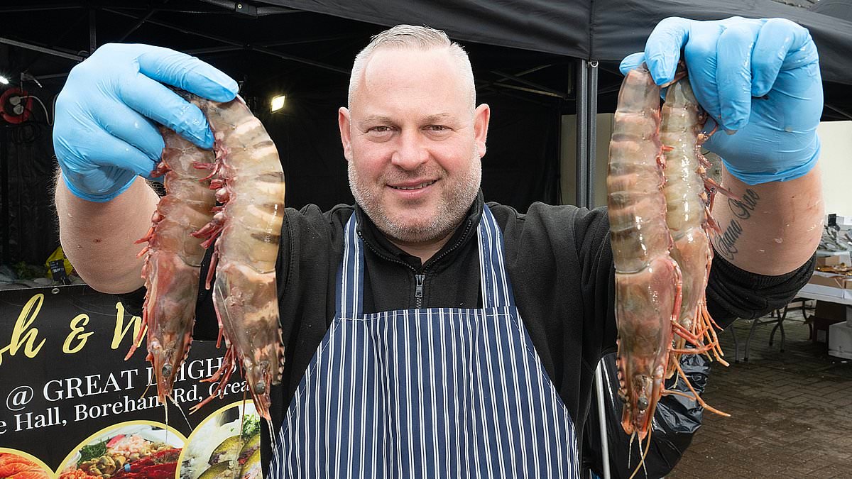 The unsavoury truth about your supermarket fish: Monger lifts the lid on industry secrets of exactly which breeds are riddled with infestations of lice and other parasites, pumped with dye or dangerously mislabelled...