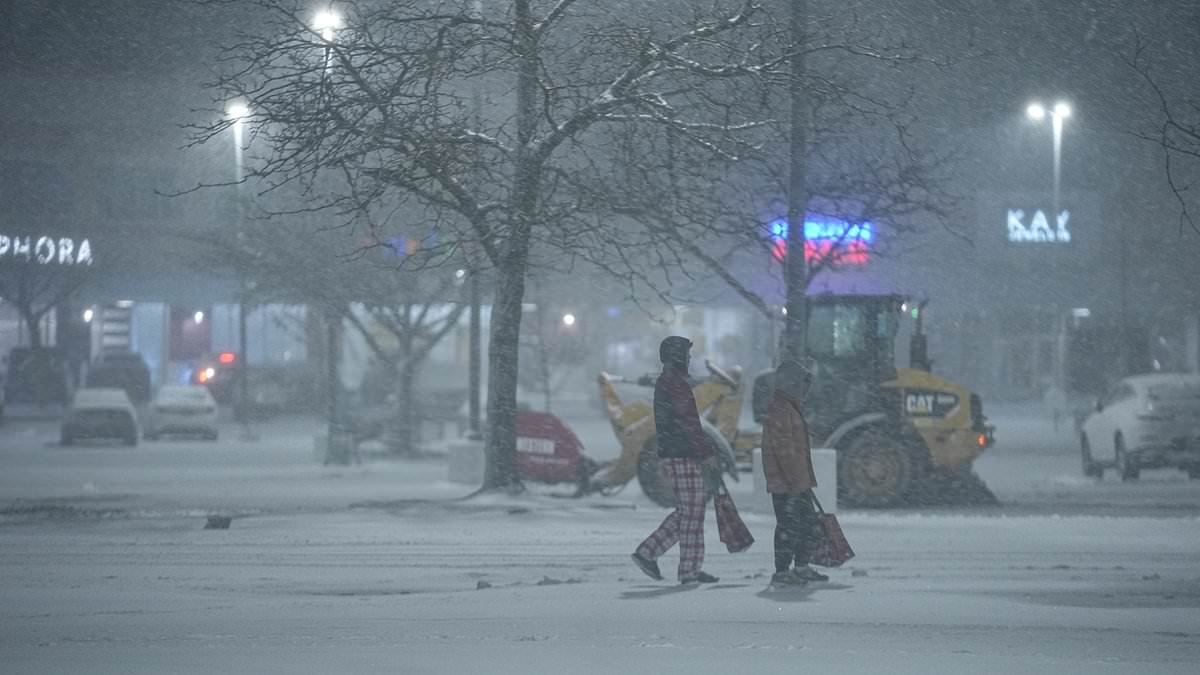 Meteorologist warns Americans need 'help to survive' historic weekend snow storm... with NYC now forecast to get up to SIXTEEN inches of snow