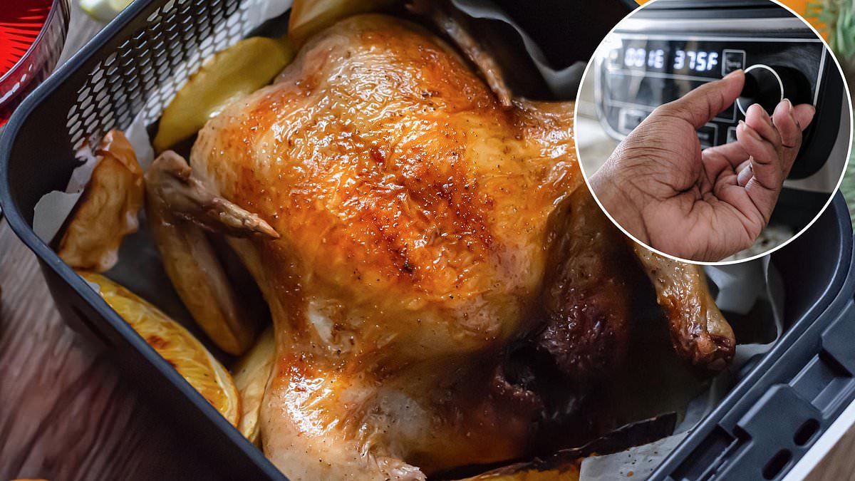 Are monster air fryers taking over? We look at these worktop hogs and reveal if they are really necessary in YOUR home