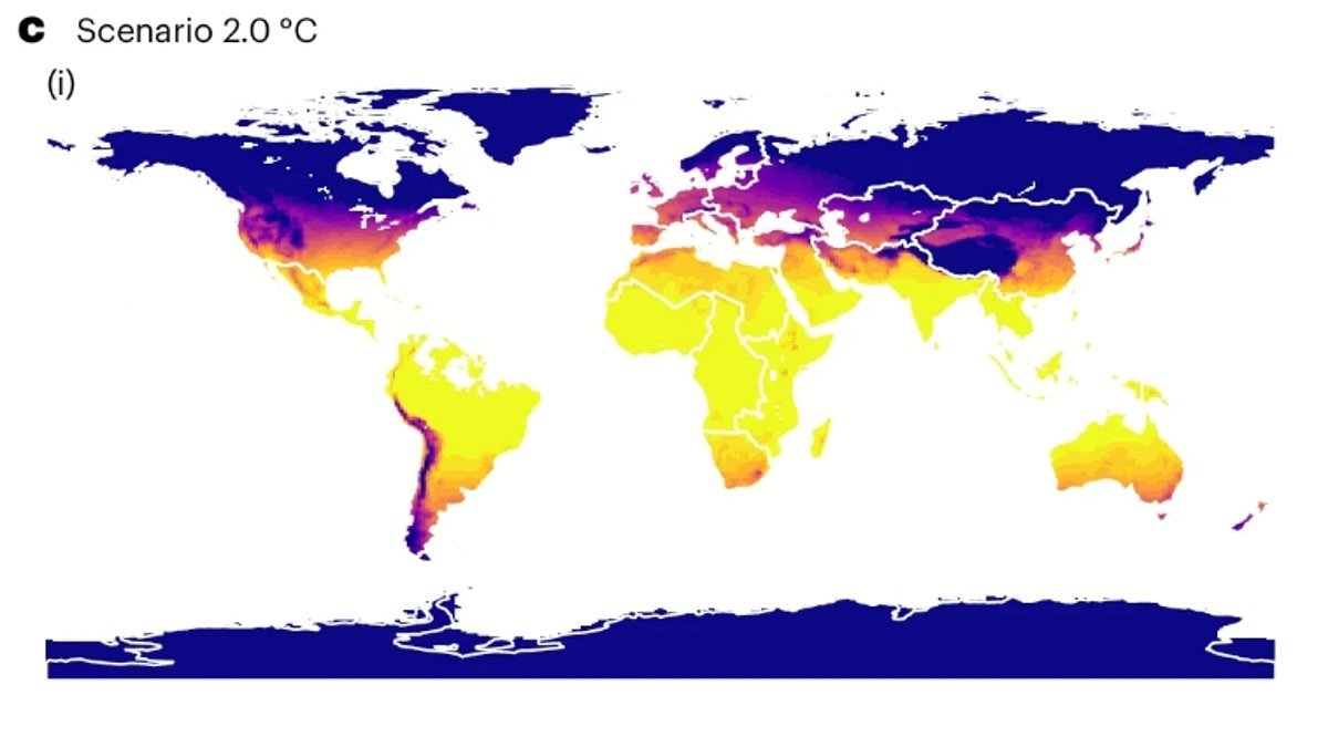 Boiling Britain: Number of 'uncomfortably hot' days in the UK is set to increase by 150% by 2050, study warns